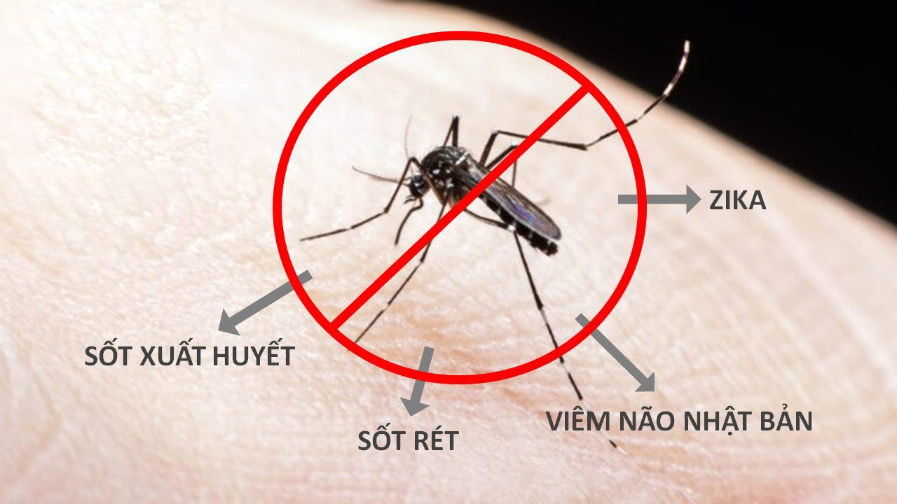 Làm thế nào để phòng tránh muỗi, côn trùng đốt hiệu quả nhất?