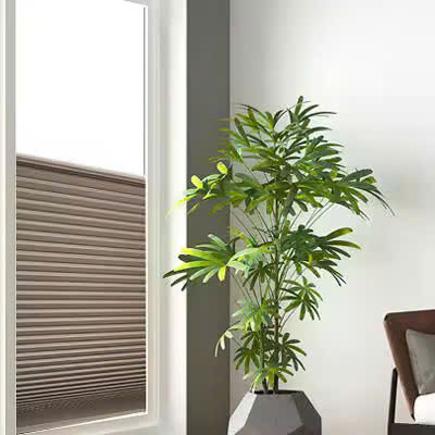 Lắp rèm tổ ong trực tiếp lên cửa kính – Giữ nguyên hiện trạng để không gian thêm phần sang trọng