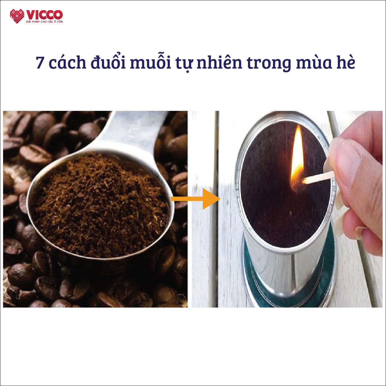 7 cách đuổi muỗi tự nhiên trong mùa hè