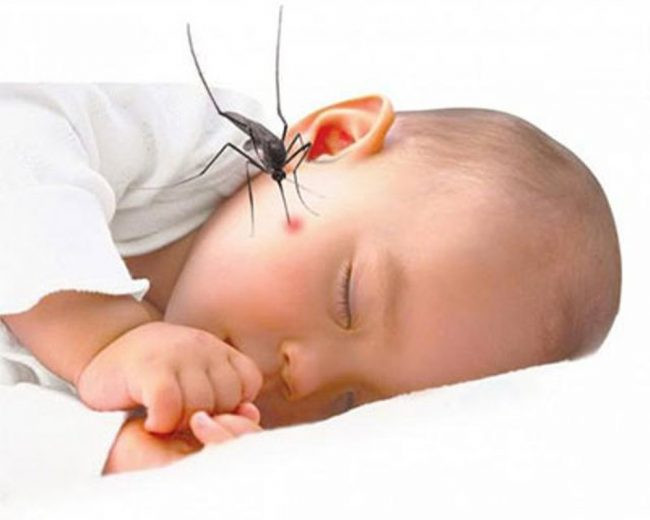 Bé bị muỗi đốt nhiều nên làm gì? Cách phòng tránh hiệu quả.