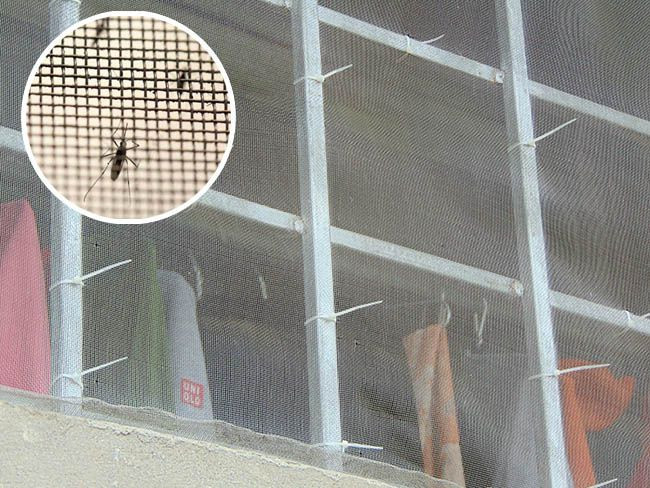 Cửa lưới inox 304: Giải pháp an toàn cho không gian sống hiện đại và tiện ích